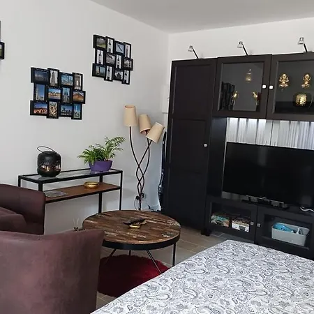 Cocooning De La Gare Διαμέρισμα *